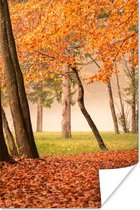 Affiche Feuilles - Automne - Forêt - 80x120 cm