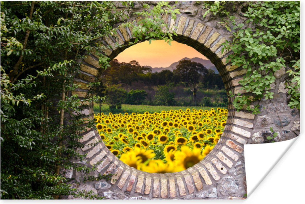 Poster Doorkijk - Bloemen - Zonnebloem - 120x80 cm