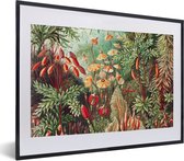 Cadre photo avec affiche - Fleurs - Art - Vintage - Nature - Botanique - 40x30 cm - Cadre pour affiche