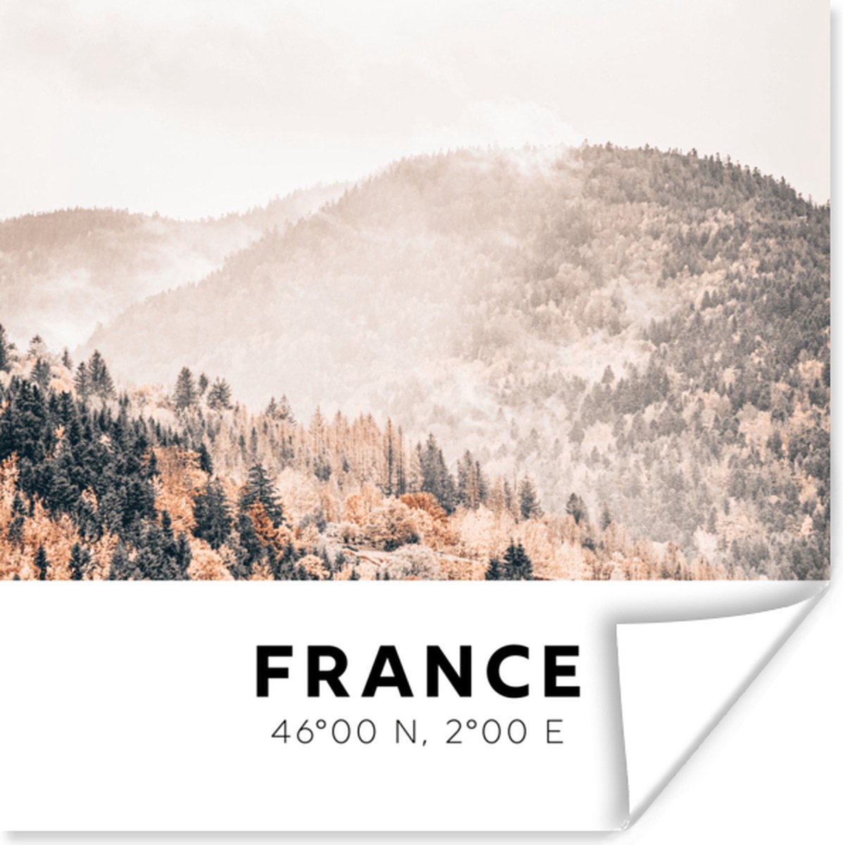 Poster Frankrijk - Bomen - Mist - 30x30 cm