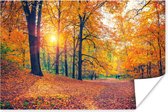 Poster Bomen - Herfst - Bos - Herfstbladeren - 180x120 cm XXL