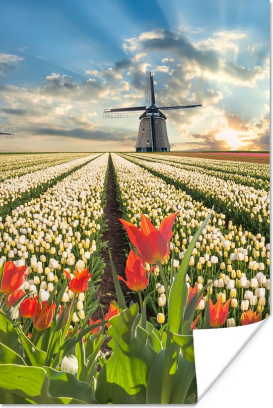 Poster Windmolen - Tulpen - Lucht - Natuur - 40x60 cm