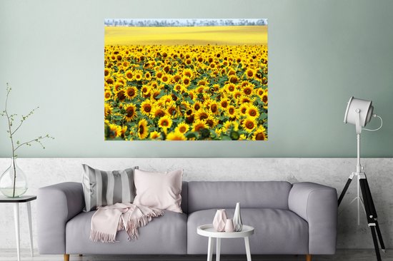 Poster Tournesol - Fleurs - Nature - 120x90 cm