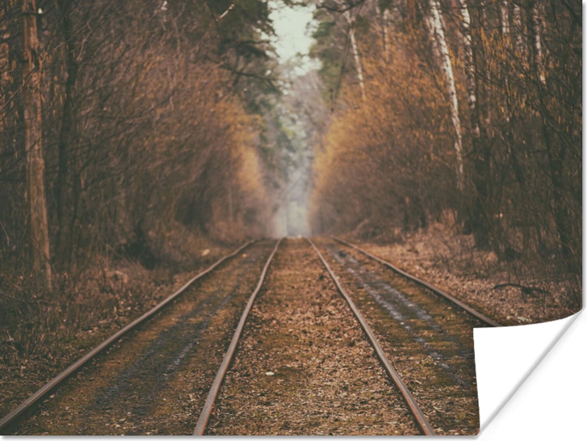 Poster Treinspoor - Pad - Bos - Boom - 120x90 cm