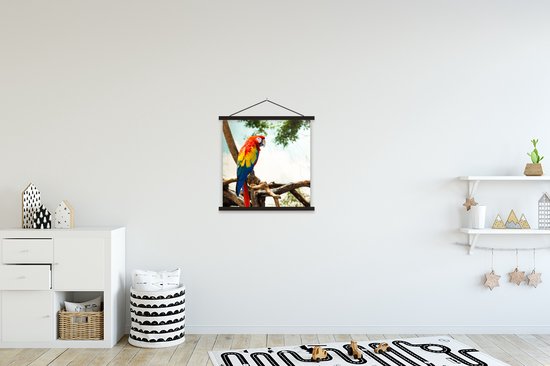 Porte-affiche avec affiche - Affiche scolaire - Perroquet - Vogel - Arc-en-ciel - Tropical - 40x40 cm - Lattes noires