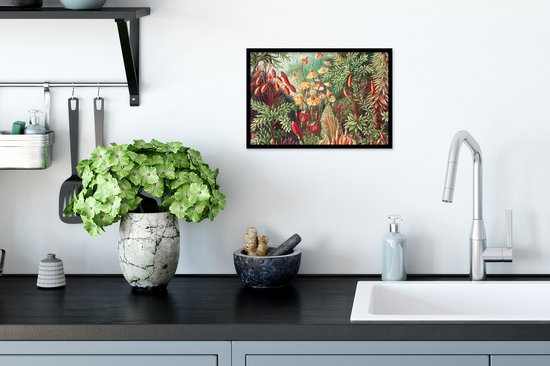 Cadre photo avec affiche - Fleurs - Art - Vintage - Nature - Botanique - 30x20 cm - Cadre pour affiche