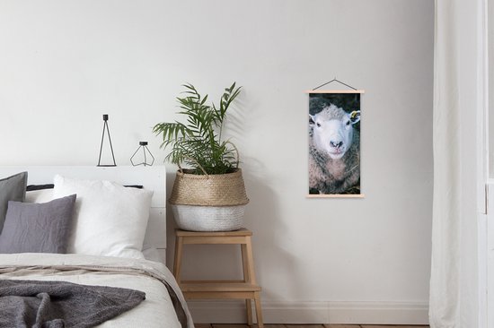 Porte-affiche avec affiche - Affiche scolaire - Moutons - Animaux - Bovins - 40x80 cm - lattes vierges