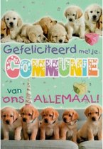Gefeliciteerd met je communie! Van ons allemaal! Een grappige kaart met lieve hondjes naast elkaar. Een leuke kaart om zo te geven of om bij een cadeau te voegen. Een dubbele wenskaart inclusief envelop en in folie verpakt.