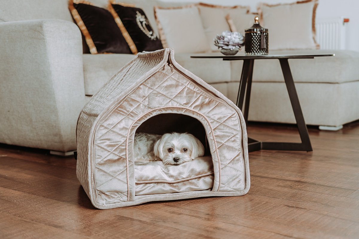 Hondenmand / Kattenmand / 50x36x46 cm / Hondenbed / Velvet Dog Bed / Luxe fluwelen hondenkussen