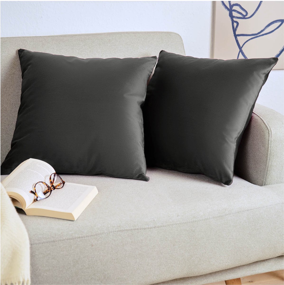 Blumtal Set van 2 Kussenslopen - Velvet - 40 x 60 cm - Antraciet - Verborgen Ritssluiting - Kussenhoes voor sierkussens