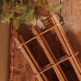 Plantensteun - klimrek - plantenrek - trellis 100cm bamboe / bamboo (set van 3)