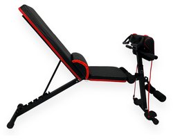 Padisport - Verstelbare bank- Adjustable bench - Fitness bank - Halterbank - Halter bank - Buikspier bank