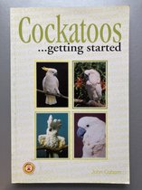 Cockatoos As A Hobby