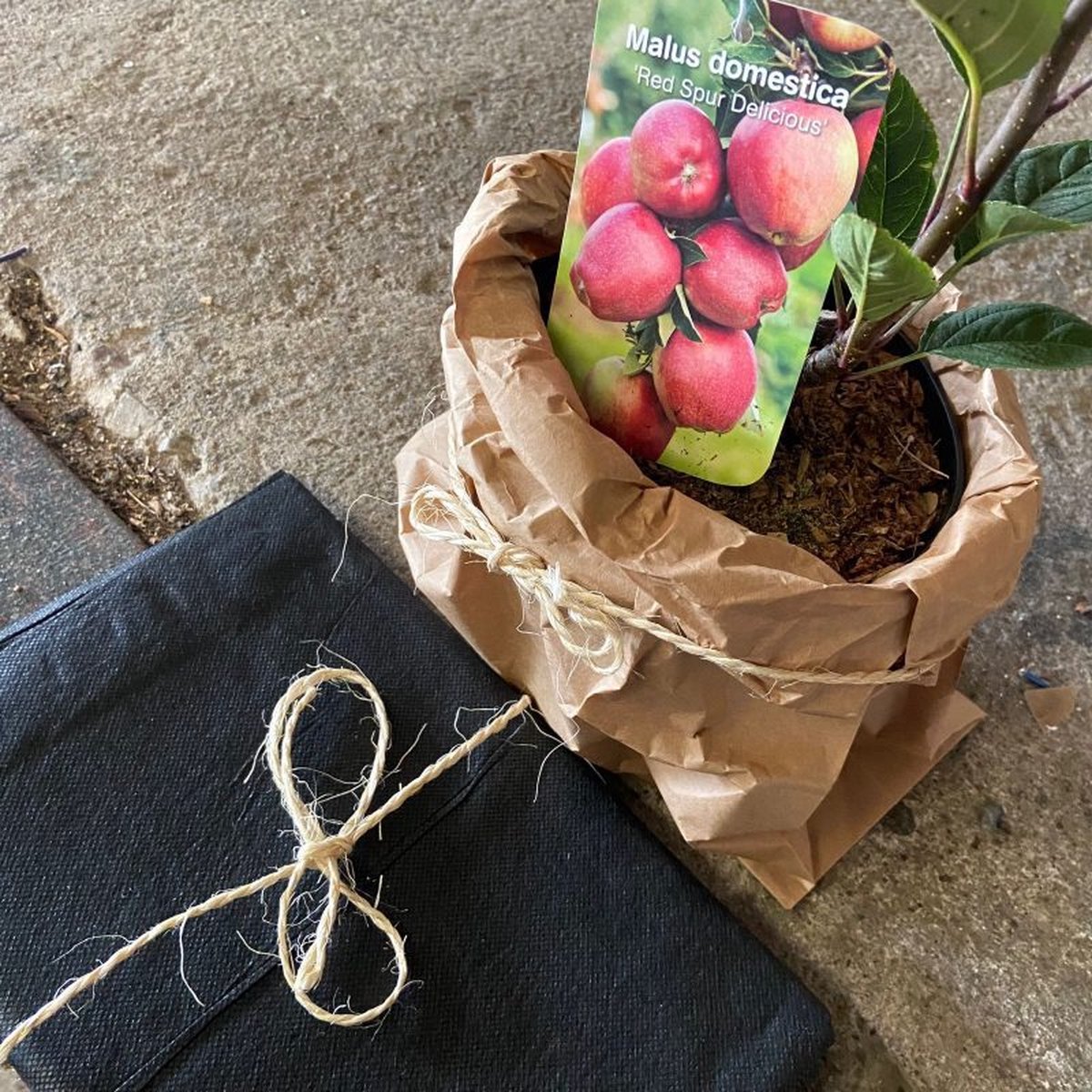 APPELTUINTJE | LiefsLabel | Cadeaupakket | Cadeau | Bruiloft | Verjaardag | Pensioen | Juf / Meester | Duurzaam | Tuin | Moestuin | Appelboom | Groen | Geschenk | Origineel Kerstpakket – foto 8
