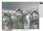 Diamond Painting — De Siberische husky — Honden — Muurdecoratie — Wanddecoratie — 30 x 40 cm — cadeau