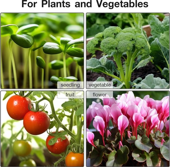 Warmtemat Planten - Met Thermostaat - 25 x 52 cm - 50W - Waterdicht - Kweekmat - Kweekmat verwarmingsmat - Warmtemat Planten Kweken - Verwarmingsmat Planten - Propagator
