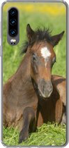 Geschikt voor Huawei P30 hoesje - Paarden - Licht - Gras - Siliconen Telefoonhoesje