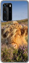 Geschikt voor Huawei P40 Pro hoesje - Schotse Hooglander - Heide - Gras - Dieren - Siliconen Telefoonhoesje