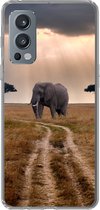 Telefoonhoesje Geschikt voor OnePlus Nord 2 5G hoesje - Olifant - Dieren - Grasvlakte - Zon - Siliconen Telefoonhoesje