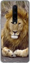 Geschikt voor OnePlus 7 Pro hoesje - Leeuw - Afrika - Dier - Siliconen Telefoonhoesje