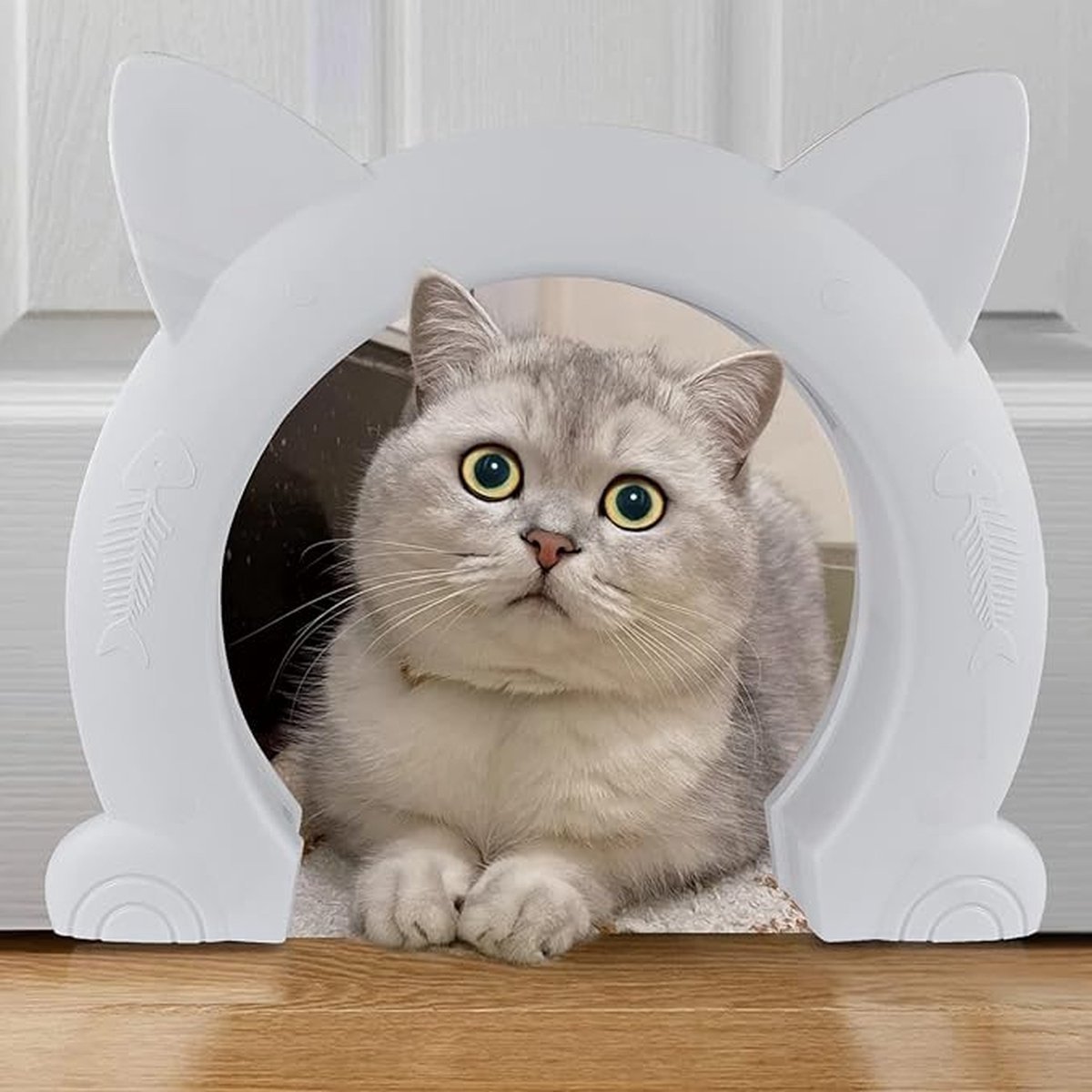 Kattendeur MAO L