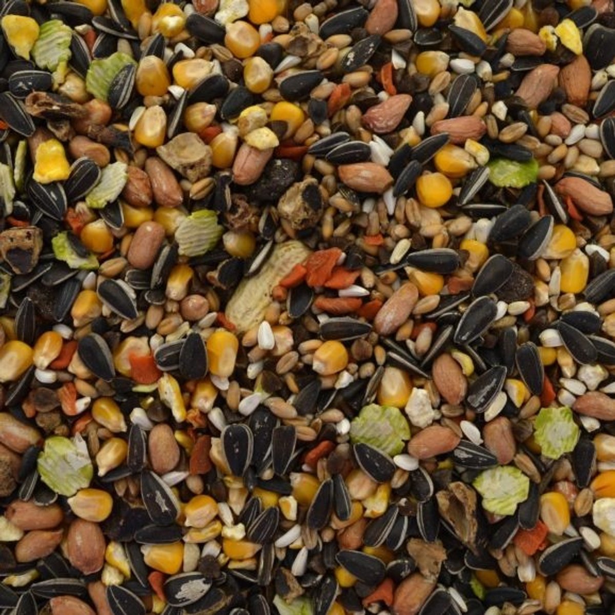 Tweetfeed Eekhoornvoer 12,5KG