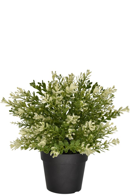 Plante artificielle Buxus en pot 23cm UV - pour l'intérieur et l'extérieur