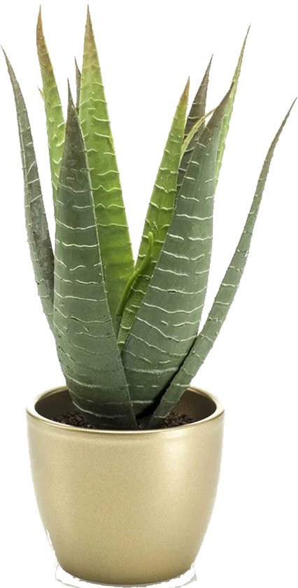 Emerald Kunstplant Aloe Vera - groen - in gouden pot - 23 cm