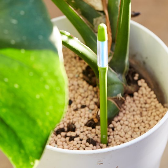 Foto: Watermeter voor elk type plant en bodem groen maat l vertelt wanneer het tijd is om water te geven vochtmeter kamerplant