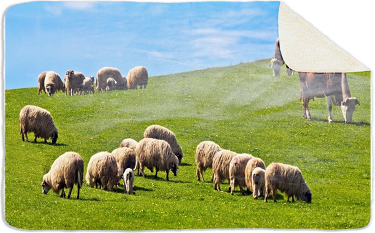 Fleecedeken Schapen, 96x146cm, Polyester Sherpa, FD2023219, deken met print