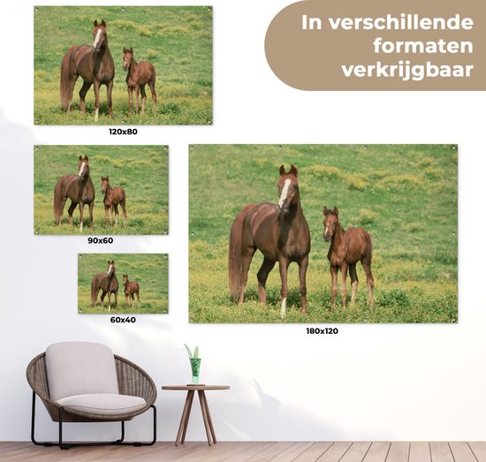 Décoration murale murale Paarden - Herbe - Marron - 180x120 cm - Affiche de jardin - Toile de jardin - Poster extérieur