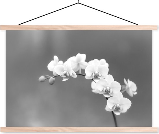 Posterhanger incl. Poster 60x40 cm - Schoolplaat - Orchidee - Bloemen - Plant - Wit - Paars - Textielposter - Blanke latten