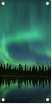 Tuinposter Noorderlicht - Bomen - Water - Alaska - 30x60 cm - Tuindoek - Buitenposter