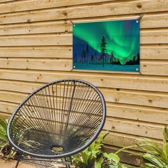 Northern Lights above Sweden Garden poster 60x40 cm - petit - Toile de jardin / Toile d'extérieur / Peintures d'extérieur (décoration de jardin)