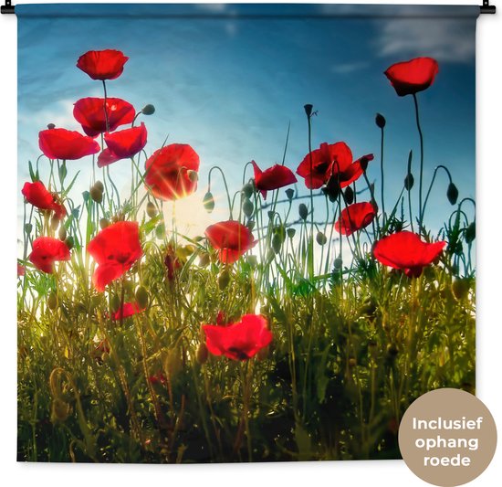 Papier peint intissé motif coquelicots champ horizontal