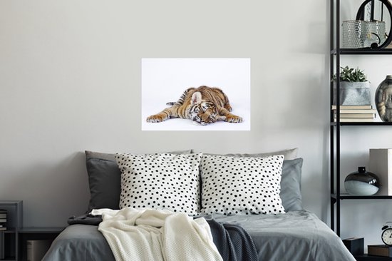 Sticker Muursticker Tigre sur fond blanc - Tigre endormi sur fond blanc - 60x40 cm - film autocollant - sticker mural repositionnable