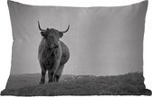 Buitenkussens - Tuin - Dieren - Schotse hooglander - Zwart wit - Natuur - Landelijk - 50x30 cm