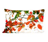 Sierkussens - Kussentjes Woonkamer - 50x30 cm - Herfst - Bladeren - Landelijk - Seizoenen