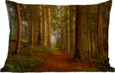 Buitenkussens - Tuin - Bos - Natuur - Bomen - Landschap - Bladeren - 50x30 cm