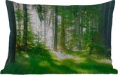 Buitenkussens - Natuur - Bomen - Bos - Groen - Zon - Gras - Planten - 60x40 cm - Weerbestendig
