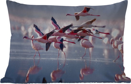 Buitenkussens - Tuin - Flamingo - Vogel - Water - Roze - 50x30 cm