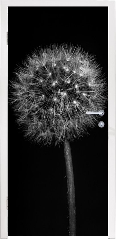 Sticker de porte avec une photo noir et blanc d'un pissenlit épanoui sur fond noir.