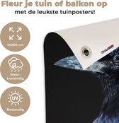 Tuindecoratie Vogel - Dieren - Zwart - 40x60 cm - Tuinposter - Tuindoek - Buitenposter
