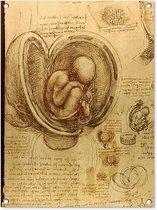 Tuinschilderij Baby in the womb - Leonardo da Vinci - 60x80 cm - Tuinposter - Tuindoek - Buitenposter