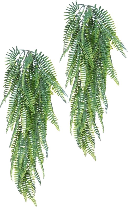 Louis Maes kunstplanten - 2x - Varen - groen - hangende takken bos van 55 cm