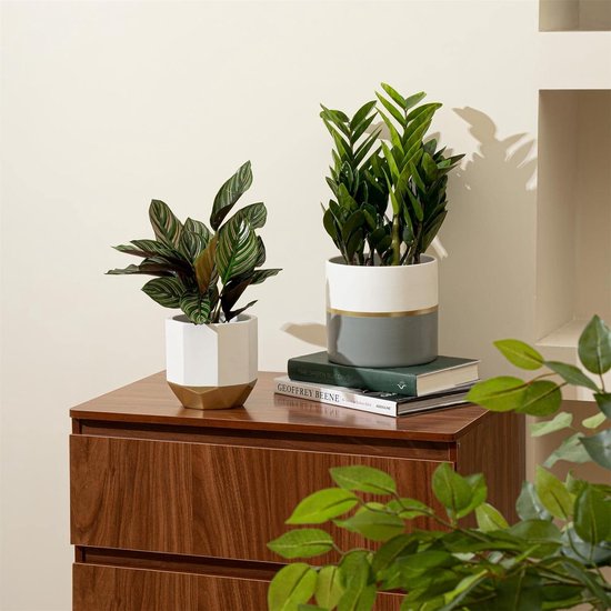Witte pot voor planten 25 cm - plantenpotten - online kopen