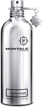 MONTALE Fougerès Marine Eau De Parfum Spray 100 ml