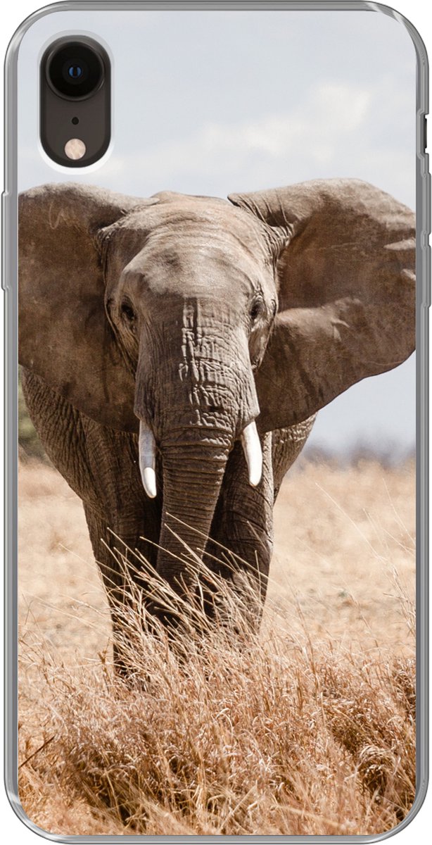 Telefoonhoesje Geschikt voor iPhone XR hoesje - Olifant - Natuur - Dieren - Portret - Siliconen Telefoonhoesje Telefoonhoesje
