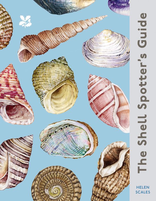 National Trust-The Shell Spotter’s Guide - cover