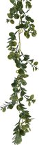 Everlands Planten slinger - eucalyptus - kunstplant - groen - 180 cm